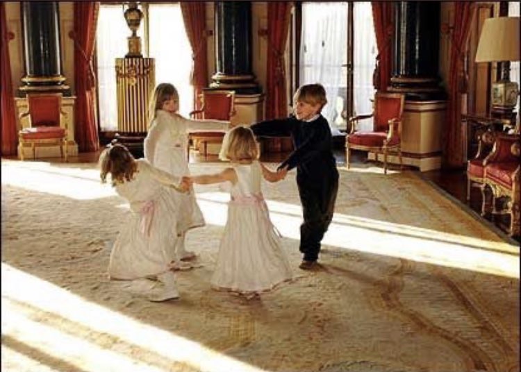 hayley harmison tweet media