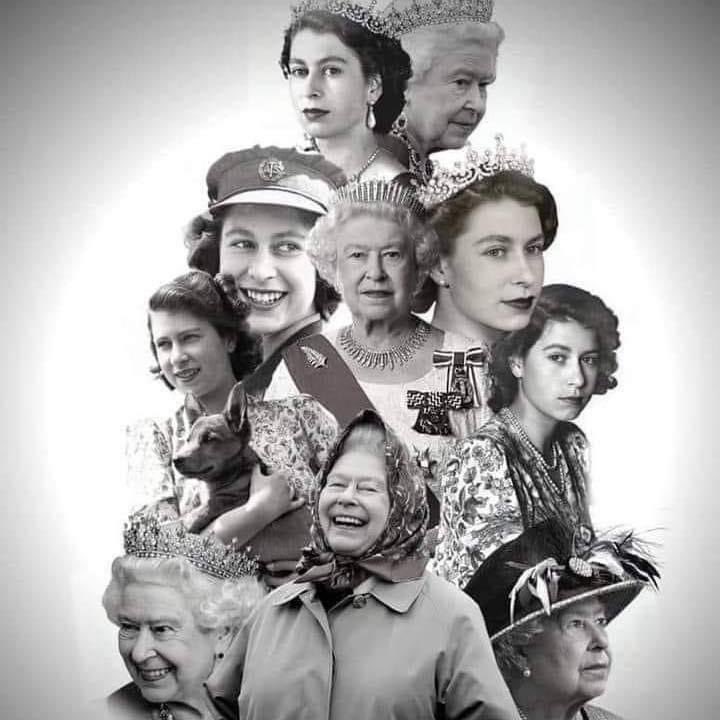 Dragonfly Scheme South Tees Trust tweet media