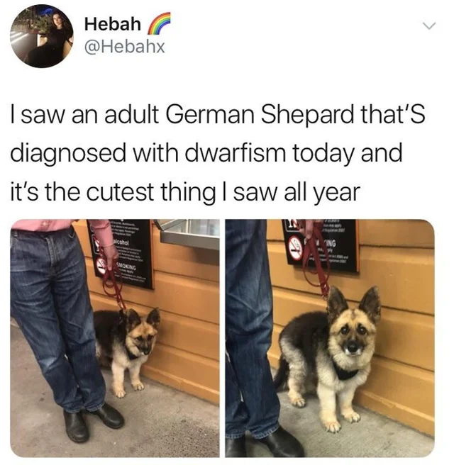 WholesomeMeme's tweet photo. https://t.co/JvC2Ht1rWi