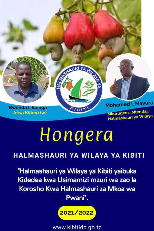 kibitidc's tweet photo. Hongereni sana Viongozi wa Wilaya ya Kibiti kwa Usimamizi Mzuri wa zao la Korosho https://t.co/RSts6JW9YN