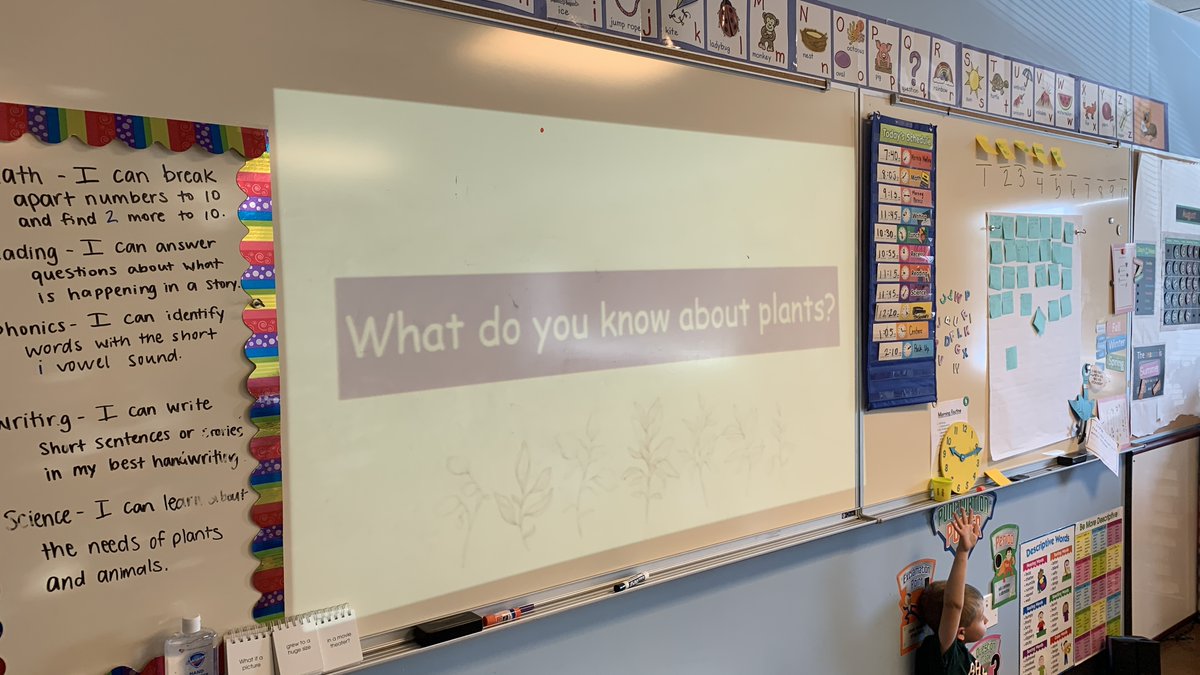 stemschoolHR's tweet photo. Today it was all about plants for our 1st graders! This was part of a PBL unit where a group of our Secondary students from AP biology taught the students about how plants function, survive and the threats to their habitat.
#plants #ignitethespark #stemstrongertogether #PBL https://t.co/nTpLNKPjjp