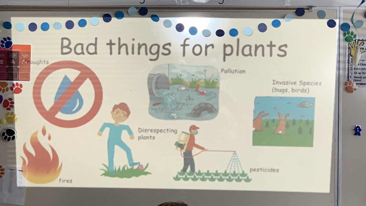 stemschoolHR's tweet photo. Today it was all about plants for our 1st graders! This was part of a PBL unit where a group of our Secondary students from AP biology taught the students about how plants function, survive and the threats to their habitat.
#plants #ignitethespark #stemstrongertogether #PBL https://t.co/nTpLNKPjjp