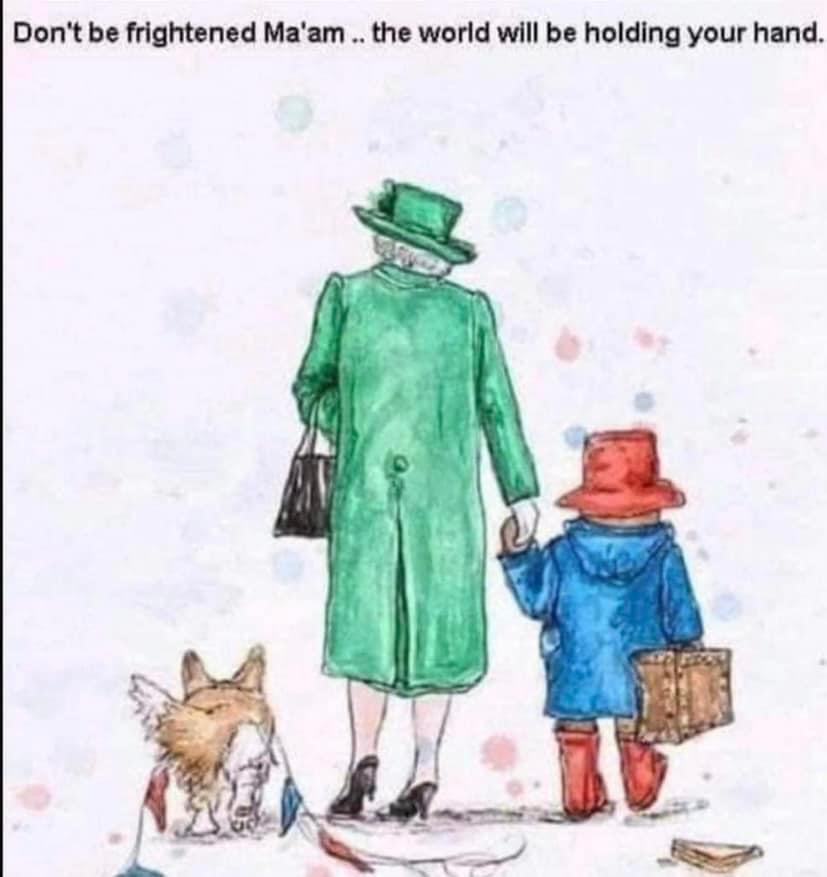 WHPrimary tweet media