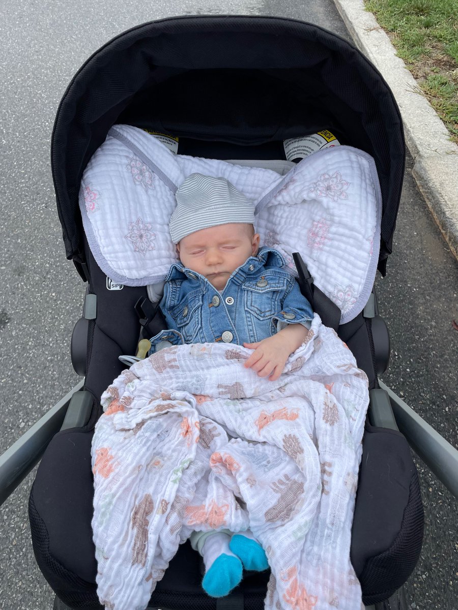 bewilderednets's tweet photo. Mere minutes after I put Cotton Eye Joe on after she starting screaming during a walk. https://t.co/k4U7rZX86A