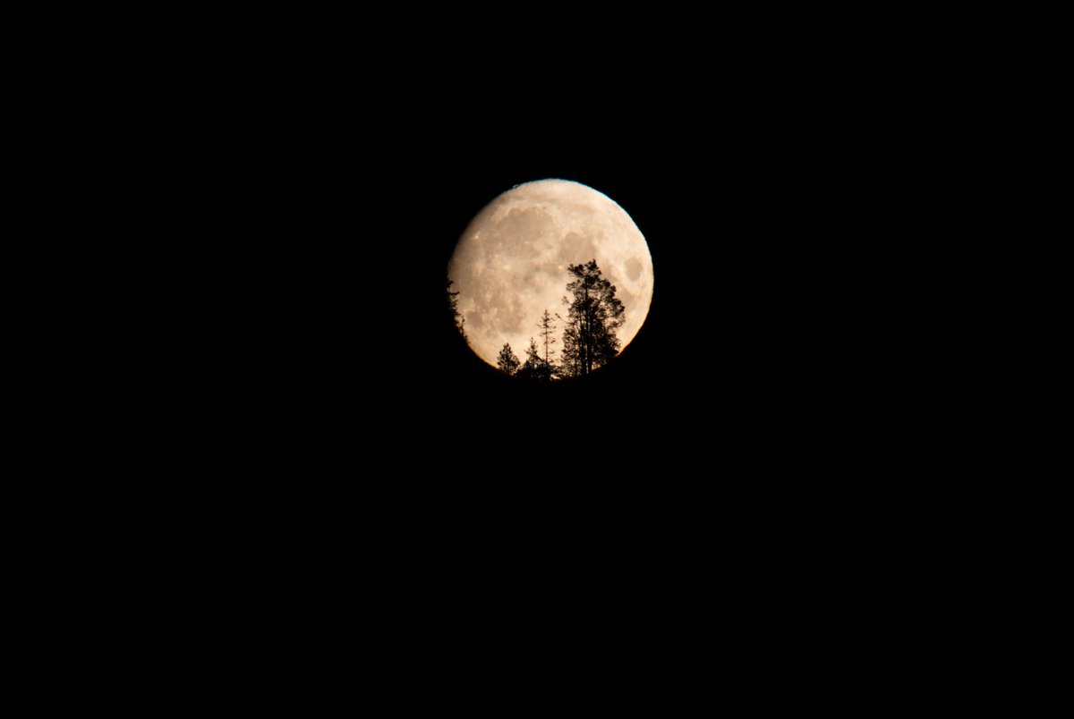 Rising moon 🌕 #posio #posiolapland #lapland #finland #moon