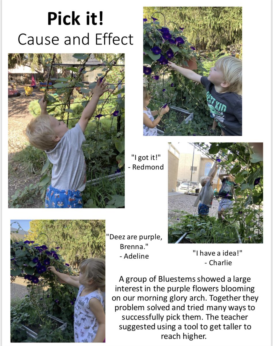 Ruth Staples Child Development Lab School-UNL tweet media