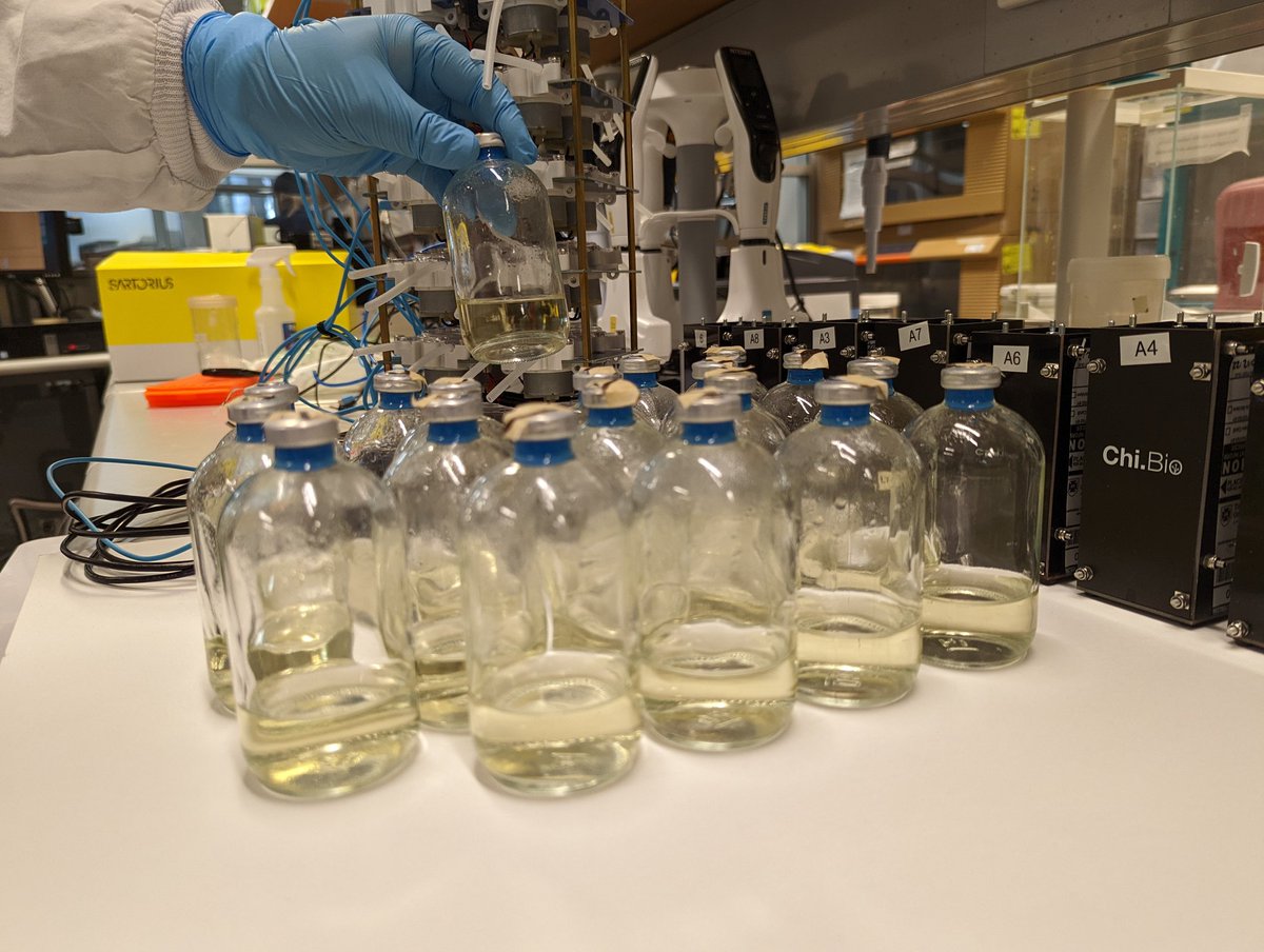 Esteban Marcellin tweet media