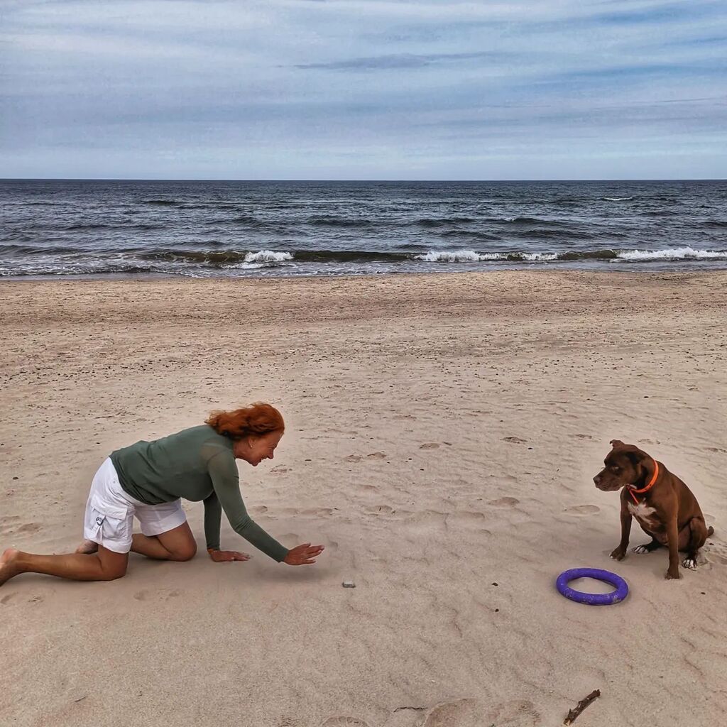 sle3va's tweet photo. - Co się daje Buni?
- Eeee... Buzi?
- Koo się daje Buni!
- Bapcia, okociałaś?!?

#pitbull #rednose #pitduke #pitboy #księciunio  #bapcia #baltic #bałtyk #balticsea #vacation #wakacje #koo https://t.co/ERdJXip1Is https://t.co/QNTmOePVdg