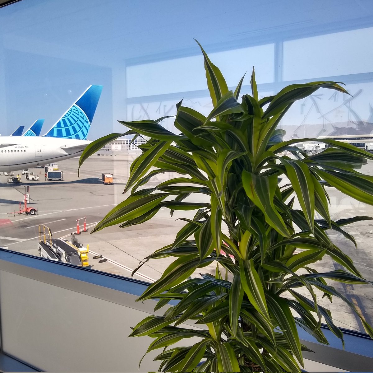 mixotrophe's tweet photo. "If you live in Santa Barbara, you'll always be taking a plane to your plane." -Paul the Great.
Back at the #SFOffice today, where I have muscle memory from all those amazing grad school trips to Aotearoa. https://t.co/UIfLxwqdBk