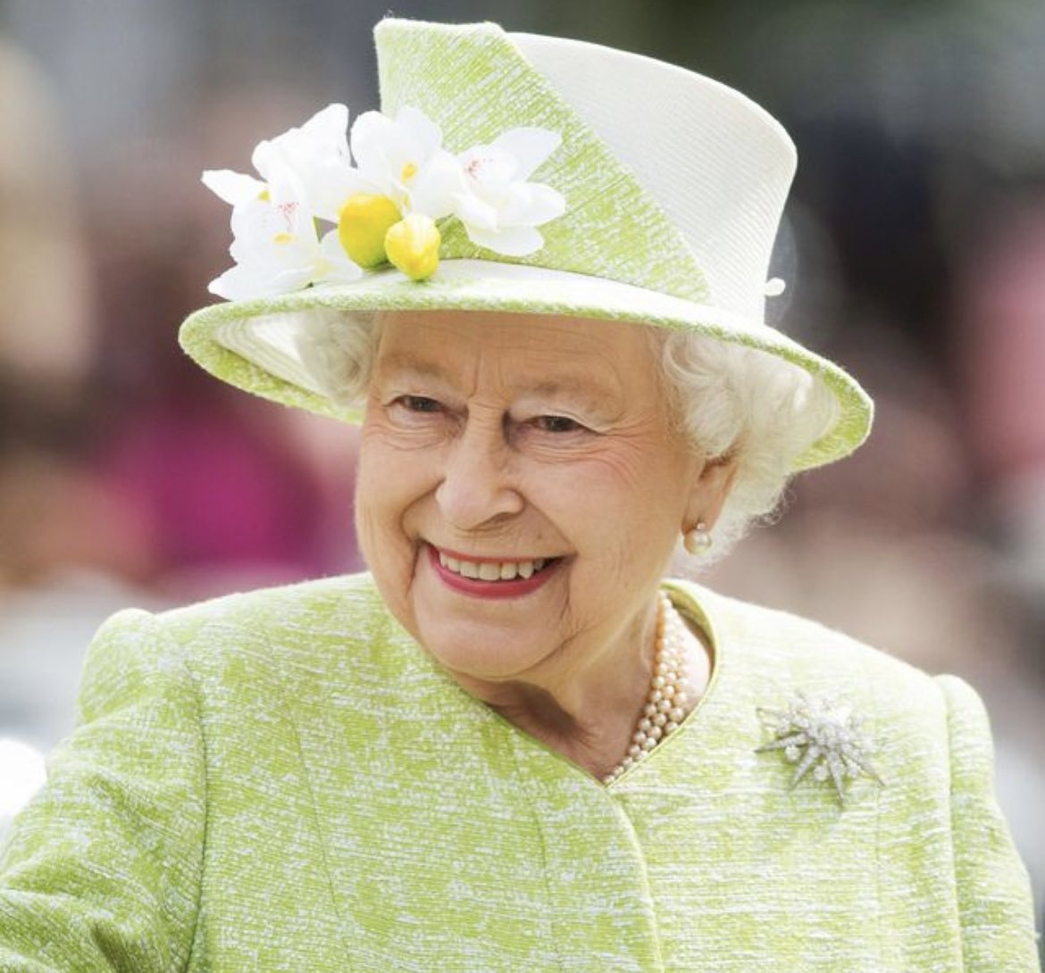 Featherwing tweet media