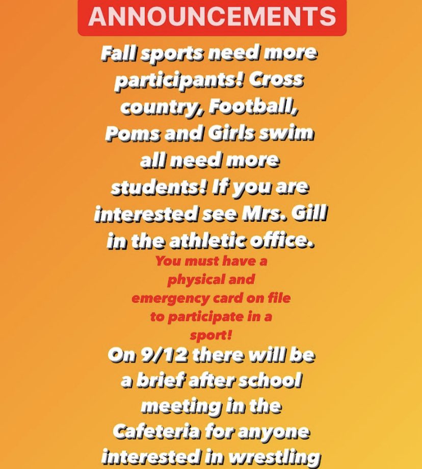 The Shipyard tweet media