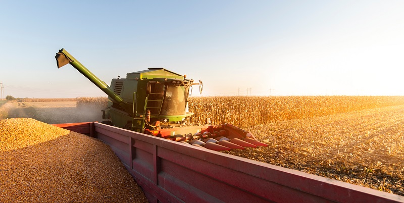 FarmLoanCenter's tweet photo. The benefits of VA Farm Loans keep on growing in unexpected ways. Learn about these benefits in our blog: https://t.co/wU4vWVG2aY https://t.co/wUVBbtl7i1