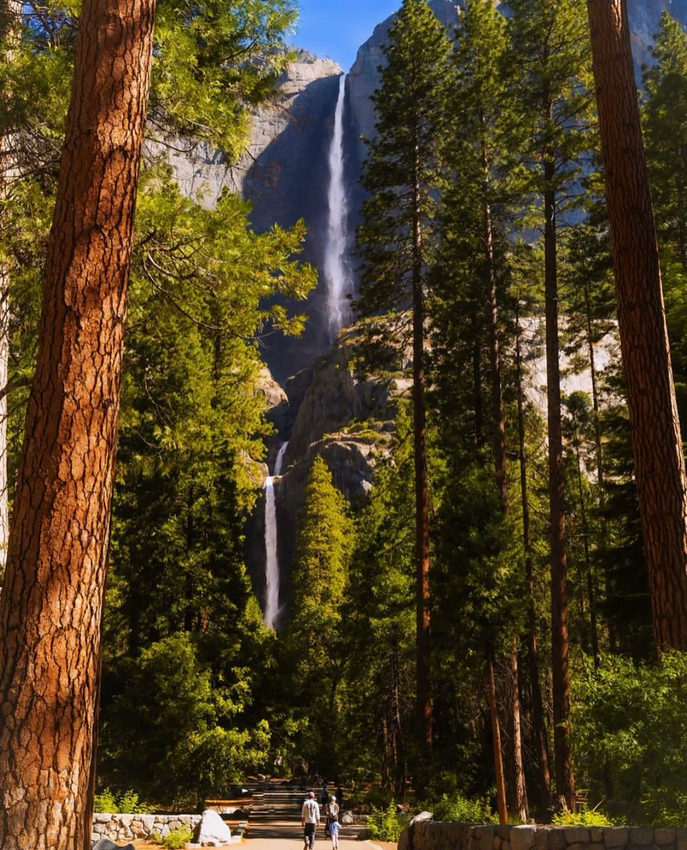NatureVSCO's tweet photo. Yosemite National Park, California 🇺🇸
📸: charliemossphoto | IG https://t.co/Nej6eTqJzU