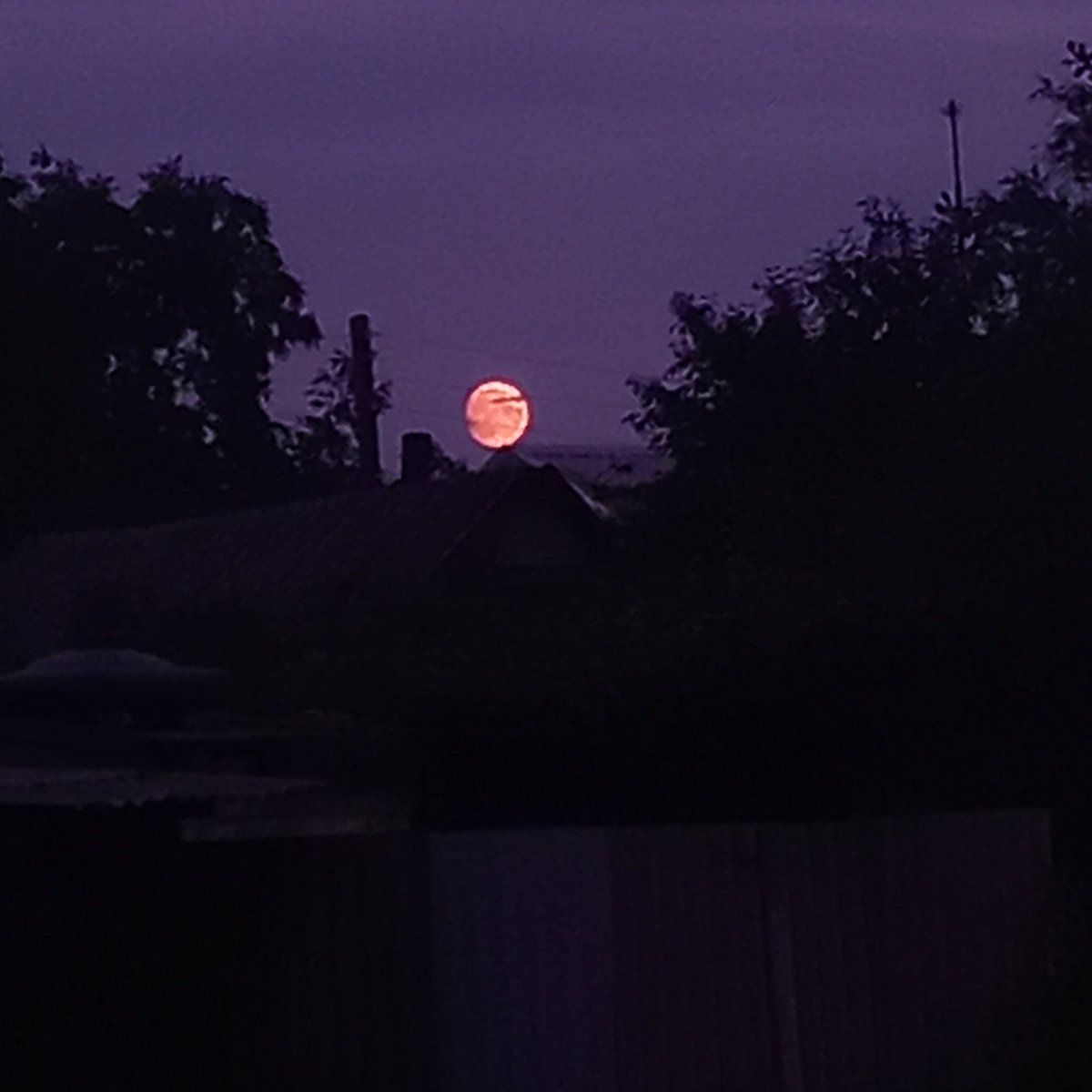 вова Ткаченко tweet media