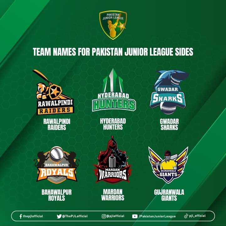 iramizraja's tweet photo. Congrats to all the players for making it to the PJL teams. Six  teams, 60 local, 24 international players , category fee ranging between US 5000 to 22000 per player. SirViv ,Miandad ,Afridi ,Malik ,Munro Sammy Imran Tahir the dug out icons. Follow your dreams &amp; follow your teams https://t.co/lpkcyMKfRe