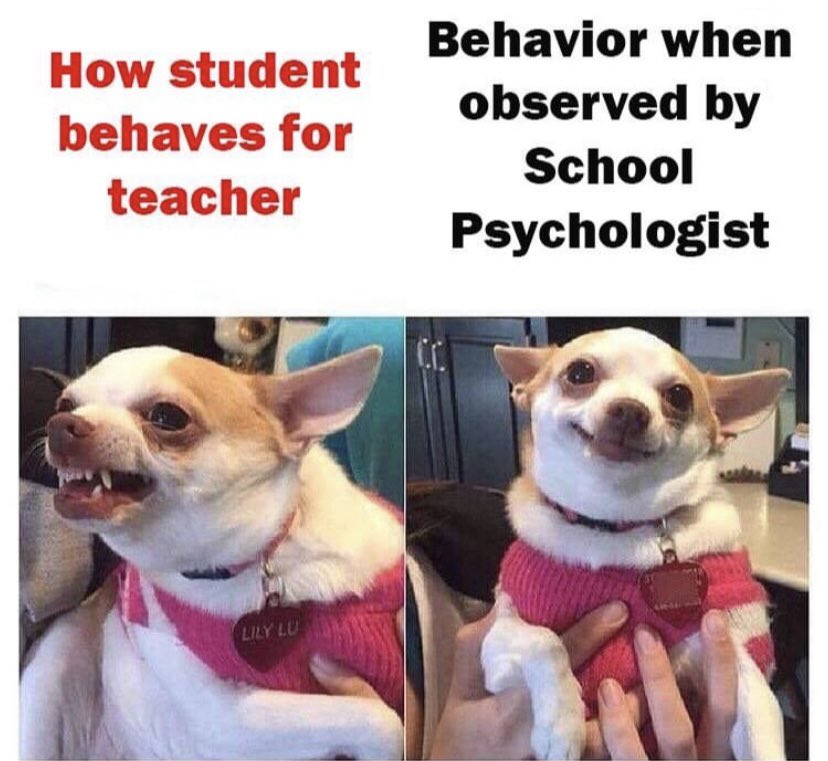 #tbt to a classic school psych meme😄