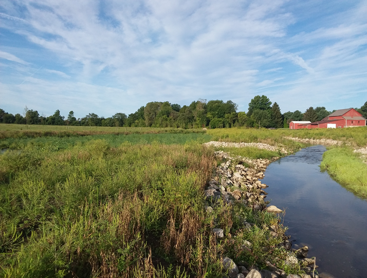 loraincounty's tweet photo. The @blackriveraoc needed more than a website. Together with Emerge, Inc. they incorporated signage with QR Codes at the project sites coordinating with an online map to offer a self-guided tour
To learn more about this website or the Black River AOC, please follow link in bio. https://t.co/0JtpCviHKb