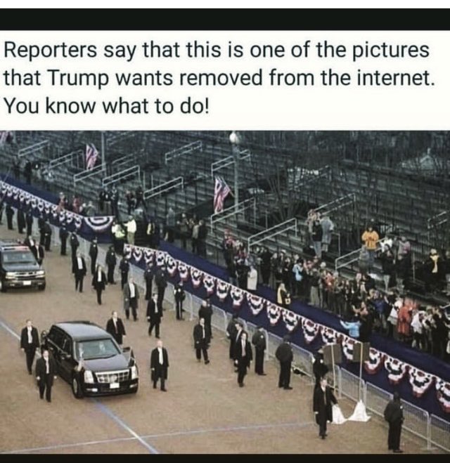 WTF (@elzey_t) on Twitter photo 