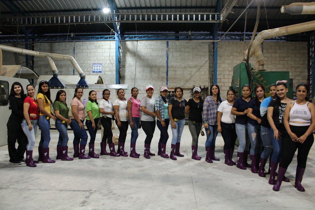 Whole Forest (@wholeforest) on Twitter photo Whole Forest joins the #BotasVioletas initiative created by <a href="/PROAmazoniaEC/">Pago Por Resultados REDD+ Ecuador</a>.
BotasVioletas is a campaign to empower women against violence.
For us, the participation of empowered women is key to sustainable forest management. Whole Forest joins the #BotasVioletas initiative created by <a href="/PROAmazoniaEC/">Pago Por Resultados REDD+ Ecuador</a>.
BotasVioletas is a campaign to empower women against violence.
For us, the participation of empowered women is key to sustainable forest management.