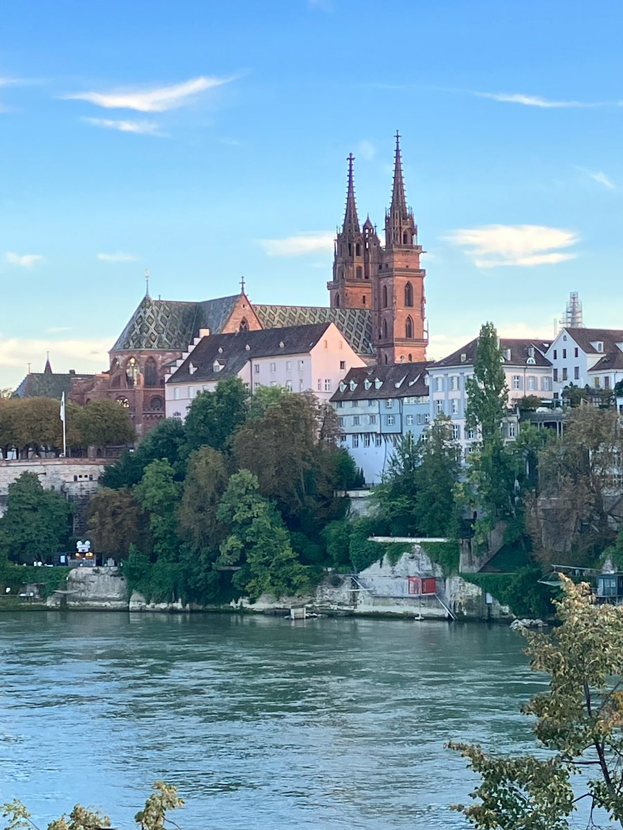 Michael Ison, MD MS tweet media