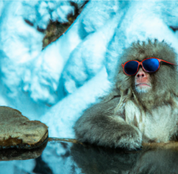 DailyMonkeyApe's tweet photo. Soon the weekend https://t.co/PR9DEMWCWj