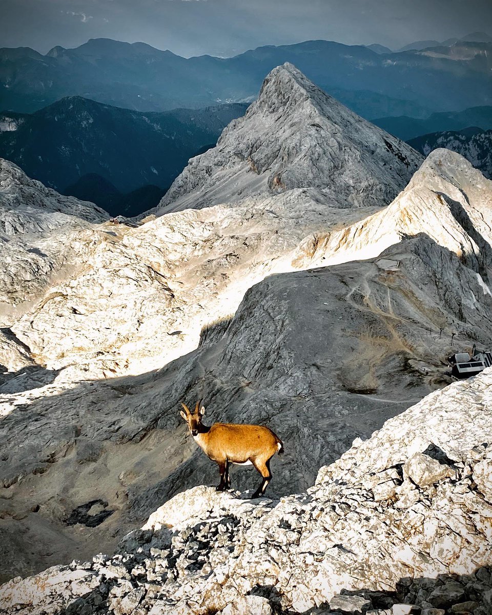 Gorgeous!!! 😍😍😍 

Photo by 📸 <a href="/stancu_adi/">Adi Stancu</a>