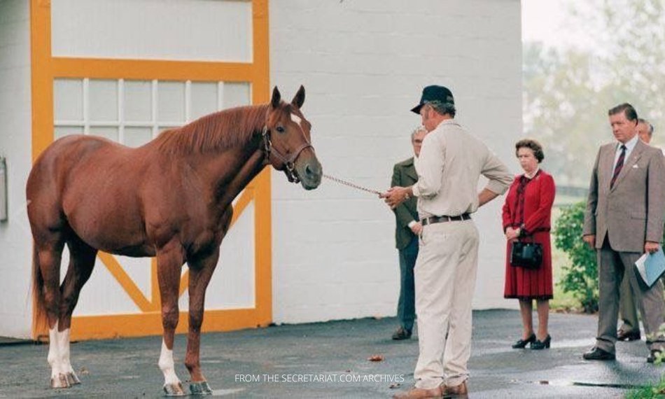 Today we remember Queen Elizabeth II, who was a keen horsewoman, breeder, and “absolutely first-rate judge of horseflesh” per her racing manager Lord Porchester. The Queen visited Claiborne Farm in 1984 and sized up Secretariat’s perfect conformation. #RIPQueenElizabeth #RIPQueen