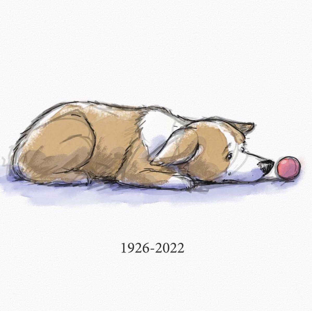 BorderTeddyer's tweet photo. 😢 https://t.co/1NOCRWdcpH