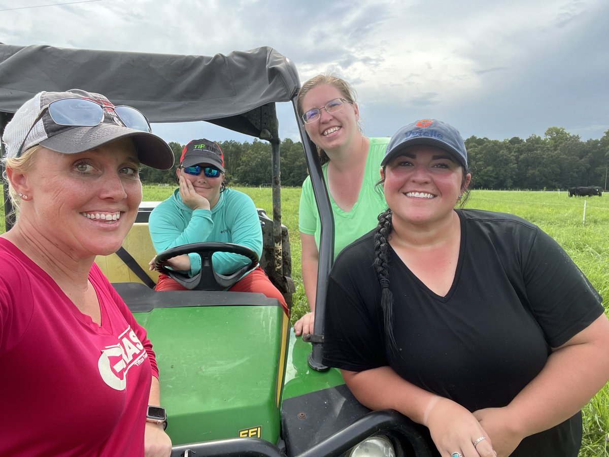 DrJJTuga's tweet photo. Grazing initiations are always an adventure - todays included a torrential down pour and no lunch. We don’t eat until they eat! All animals are now on paddocks happily grazing and #BetterGrazingProgram 2022 is officially started!! #UGABeef #AlfalfaBermudagrass #USDA_NIFA https://t.co/g7IVDLghPa