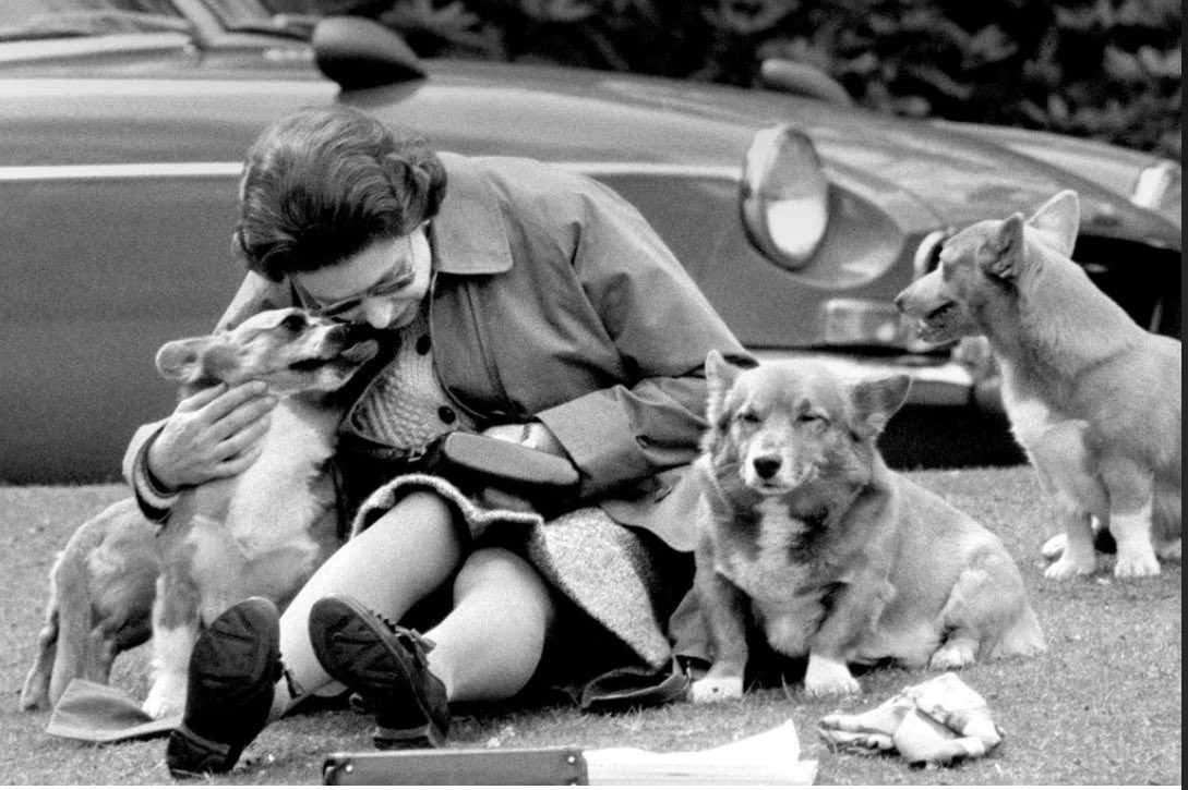 gtconway3d's tweet image. 