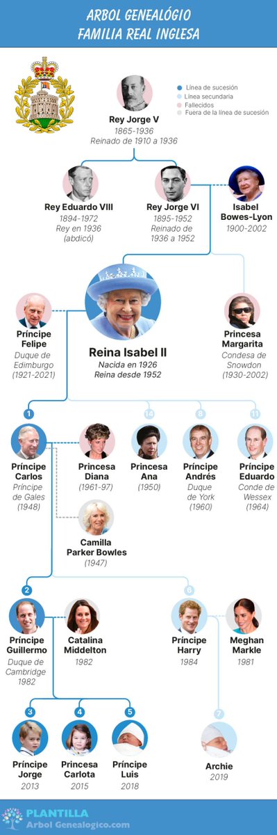 Arbol Genealogico tweet media