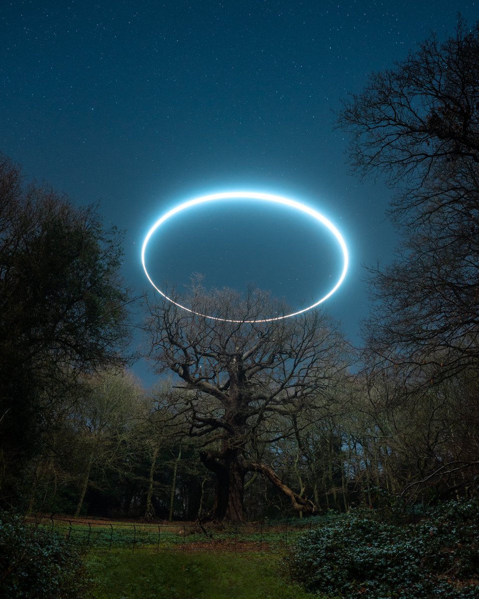 Queen Elizabeth Oak Tree Halo 🤍
The oak tree is a symbol of longevity, strength, stability, endurance, fertility, power, justice and honesty.
Our country’s greatest monarch.
The end of a era 🇬🇧🤍
#queen #thequeen #queenelizabeth #royal #royalty #monarchy #uk #unitedkingdom