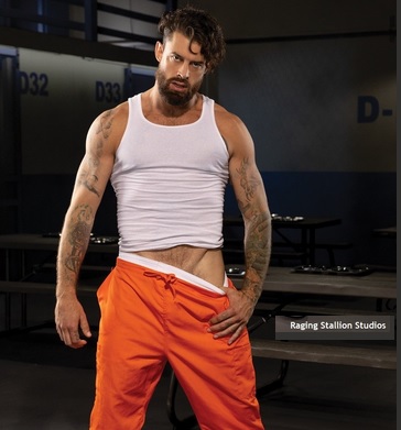 Presenting Our MOVIE REVIEW For 'HARD TIME', A Collection Of The Final 4 Episodes of @Raging_Stallion's