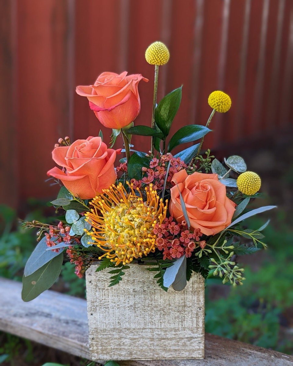 plumeriabb's tweet image. Fall is in the air!