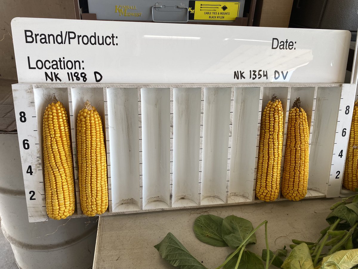 Susie Heavner tweet media