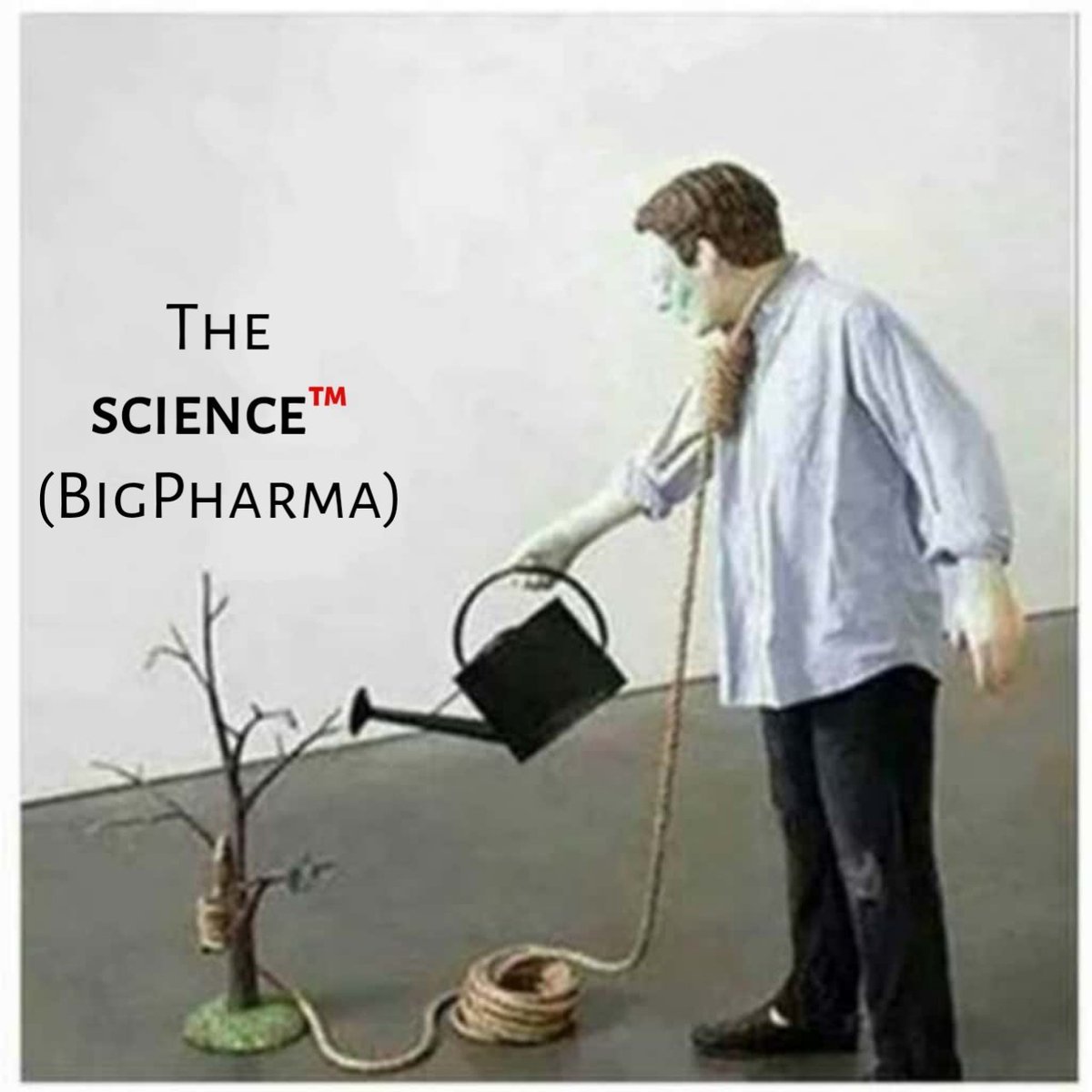 FatEmperor's tweet image. 