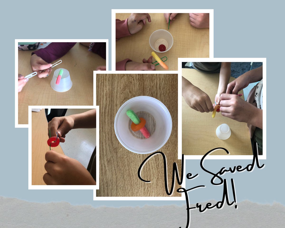 Today we continued to build relationships and connections with our peers. Groups worked together to save Fred! This is my favourite back to school activity. <a href="/PAlgonquin/">Algonquin PS</a>