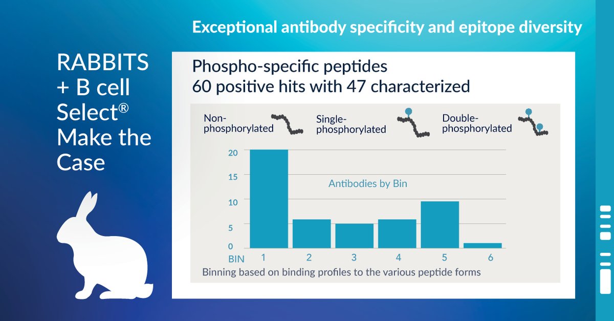 mindwalkcorp's tweet photo. See how we exceeded expectations by delivering an impressive level of specificity & epitope diversity in this case study using rabbits and our proprietary B cell Select® technology. $IPA #immunoprecise #antibodydiscovery #antibodies #drugdiscovery #biotech https://t.co/PWjvDg43LI https://t.co/EunvxvPjfh