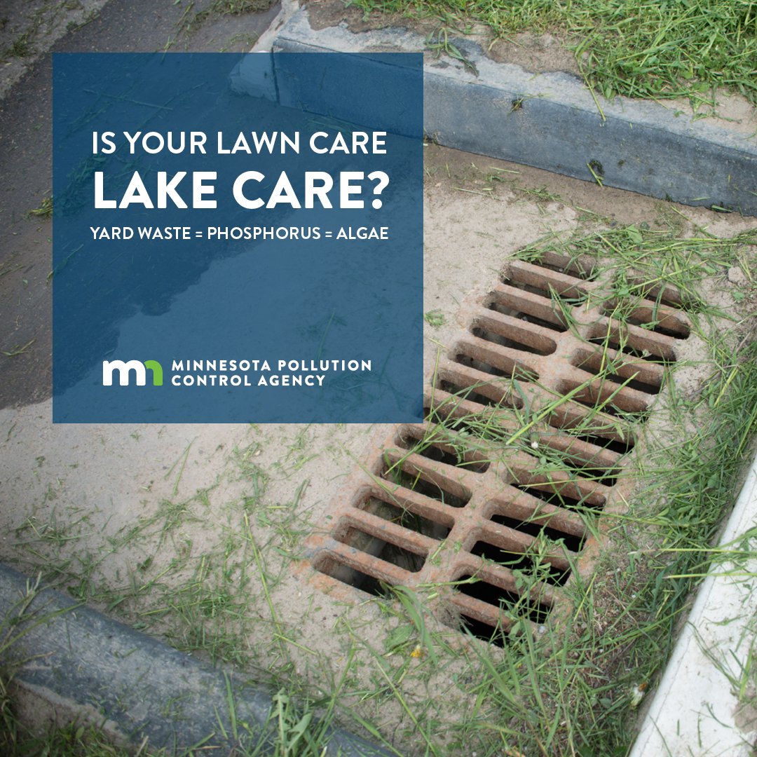 #YardWaste is full of #phosphorus, AKA algae’s favorite snack. Help reduce the potential for #HarmfulAlgae blooms to grow—prevent yard waste from entering storm drains and water bodies by keeping grass clippings and leaves out of the street! Learn more: bit.ly/3j8vtAb