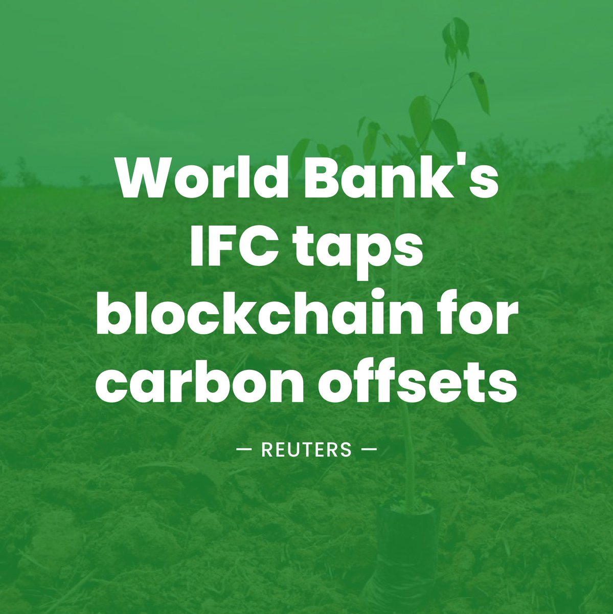 thisislbx's tweet photo. Big news in the world of international environmentalism! The IFC announced it’s backing the use of blockchain tech as a way to track and trade carbon offsets. Read the article for more! https://t.co/ND3PxdrovJ

#carbonoffsets #environment #blockchain #ThisIsLbx https://t.co/MmHCuGUSup