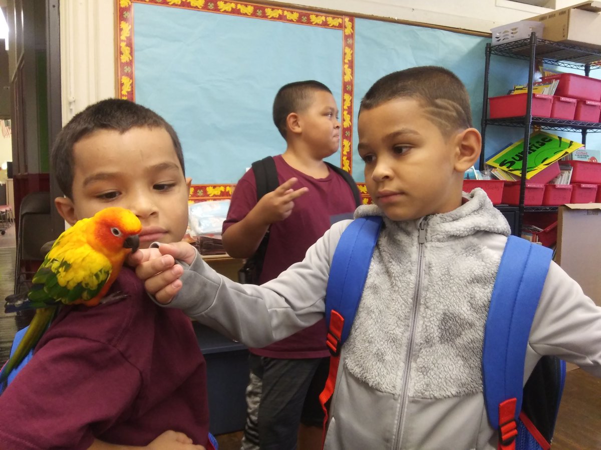 sunriseofphila's tweet photo. We had a special visitor at our @KeySchoolPHL Afterschool Program today. Say hello to Mango the Parrot 🦜🦜🦜🦜🦜 https://t.co/7GY3v1jFv5