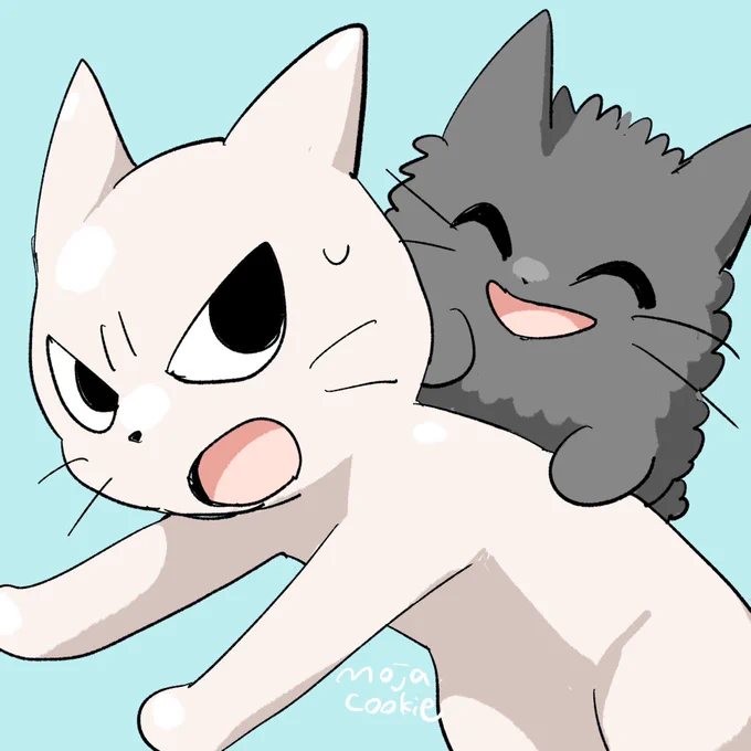 にゃにゃっ!? 