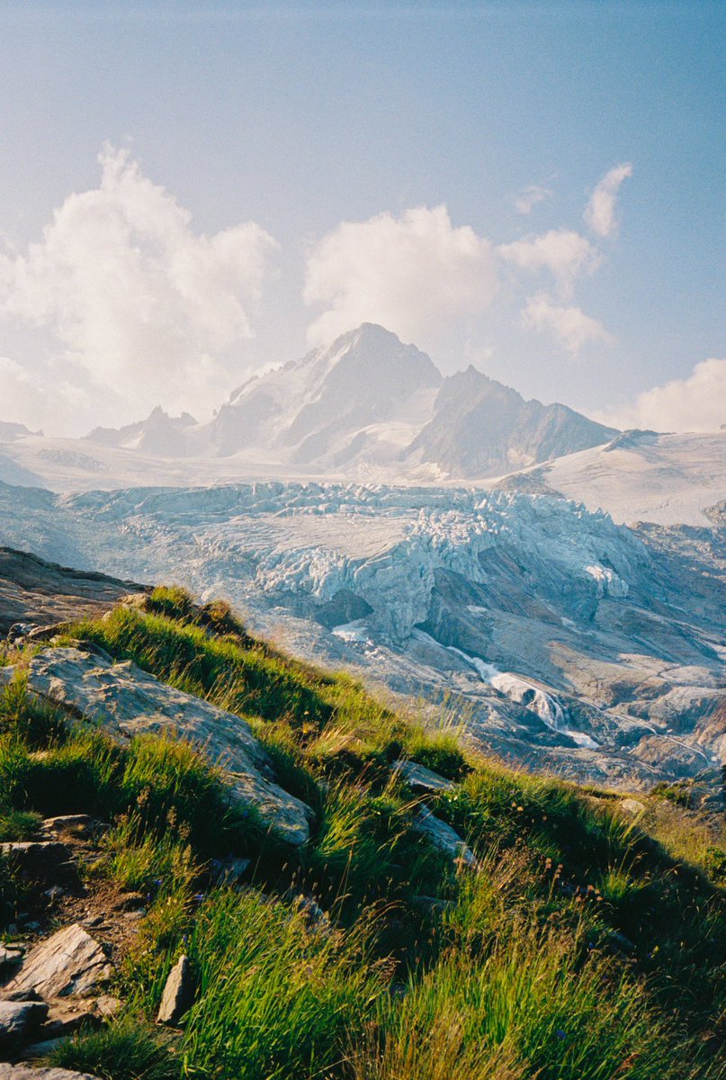 jadeastephens's tweet photo. Gn, from the best hike I have ever been on. Shot on film 🎞 https://t.co/rnBfVyETao