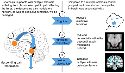 braincomms's tweet photo. Foley et al. report evidence of dysfunction of descending pain modulation, in adults with multiple sclerosis experiencing chronic neuropathic pain. https://t.co/F5d18I0zFd @peterfoley10  @AnneRowlClinic  @EdinUniNeuro  @bastiani_matteo  @EdinUniImaging  @OxNeuro  @EdinUniBrainSci https://t.co/Mj70VstjVG