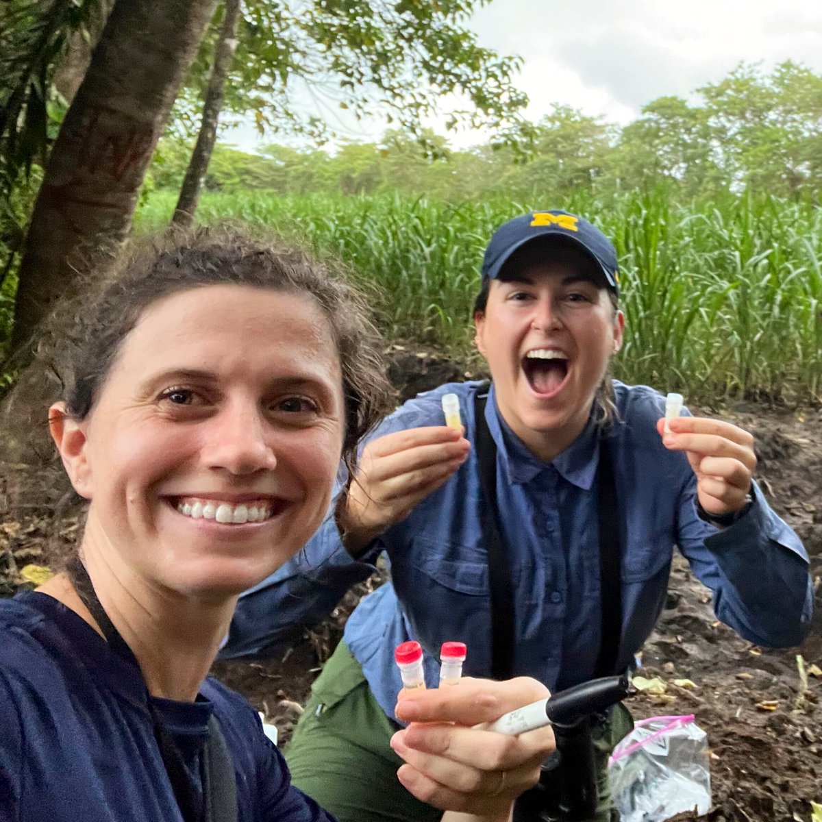 Sure science is fun but have you ever collected pee from an arboreal monkey after an intergroup encounter? @Sarah_Kovo @JordanLucore #fieldworkfun #gradschool