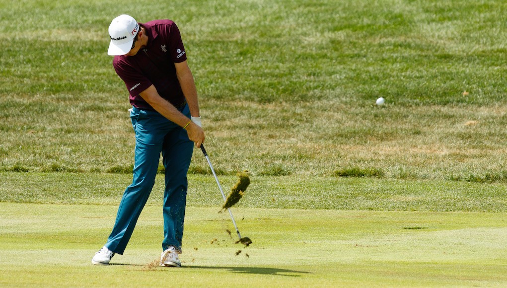 Adam Young Golf tweet media
