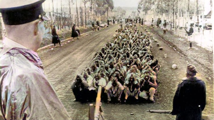 AfricanHub_'s tweet photo. The Nazis were not the only ones who operated concentration camps. Britain used them in South Africa and Kenya. https://t.co/Vf5IWEKiGf