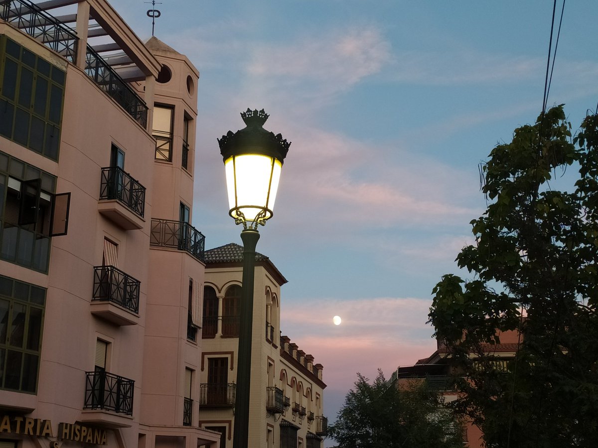 La paz debe ser
no tener que darse explicaciones ni a una misma. 
Saber que las palabras 
no van a salvarme de nada
y que la poesía está bien, sí, 
pero mucho mejor sus ojos.