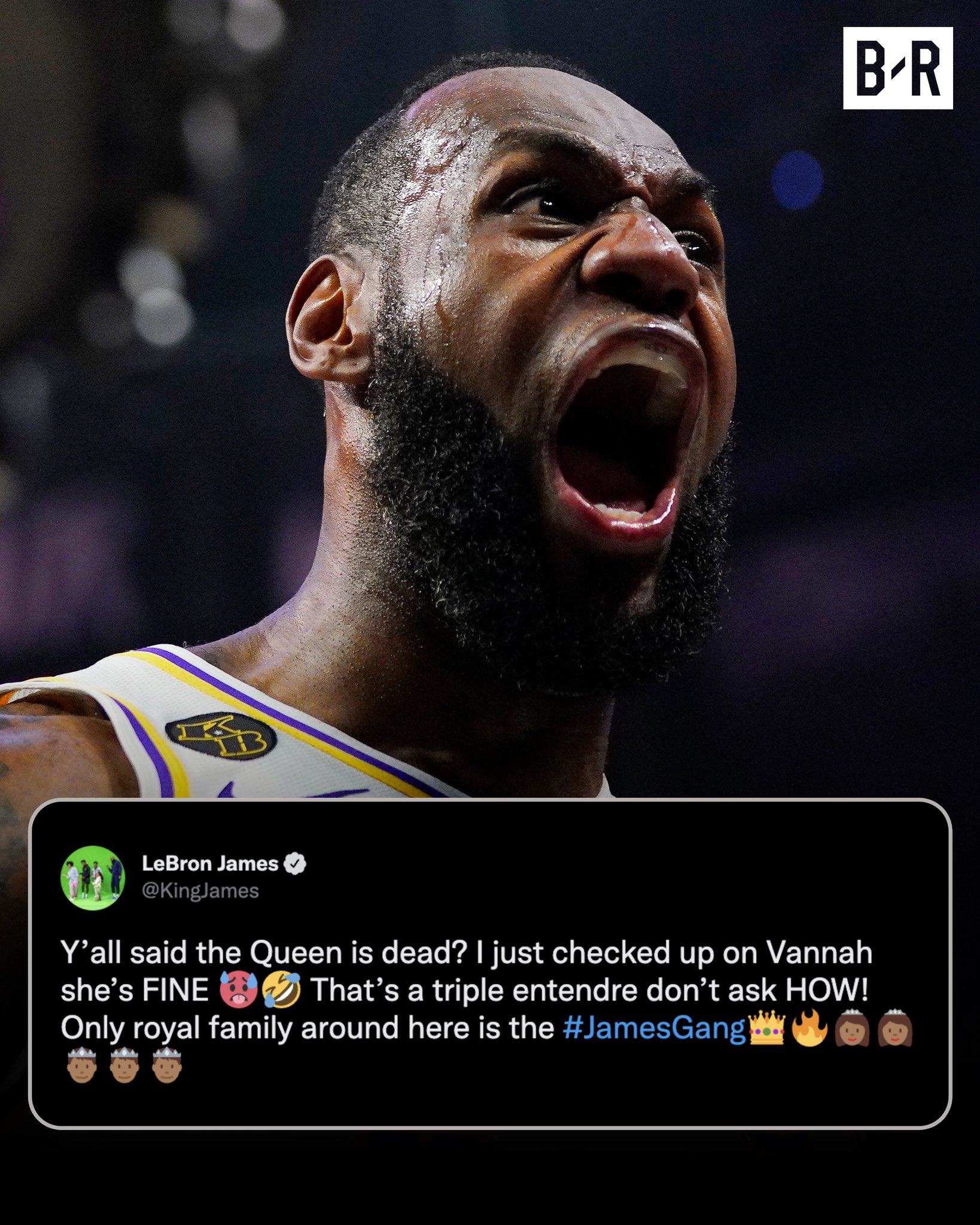 Fake Id Lebron James