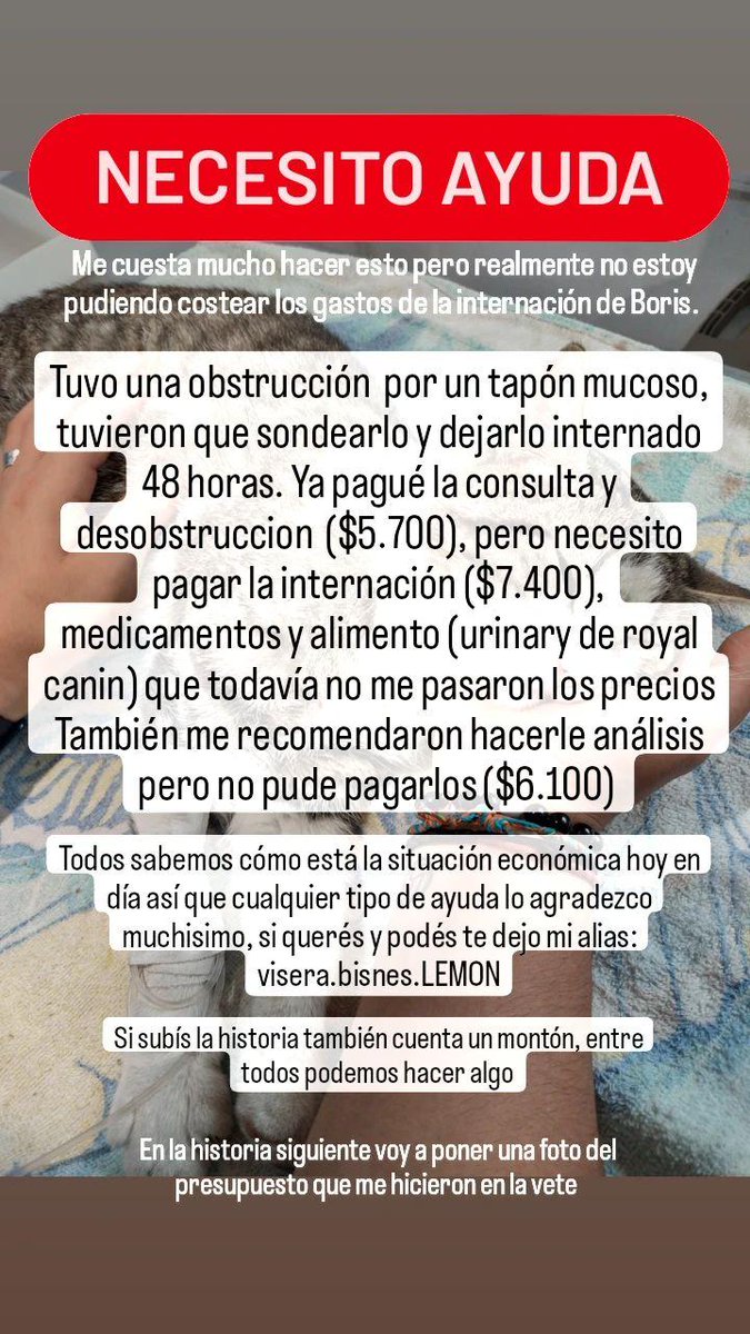 Cump_i's tweet photo. Por favor 🙏🏽🙏🏽 con un rt me ayudan un montón. @VivireNuevaCba @VivirEnNuevaCba https://t.co/VetmUOFLcQ